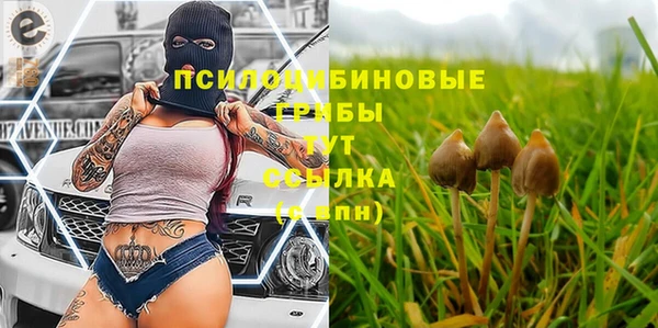 синтетический гашиш Новозыбков