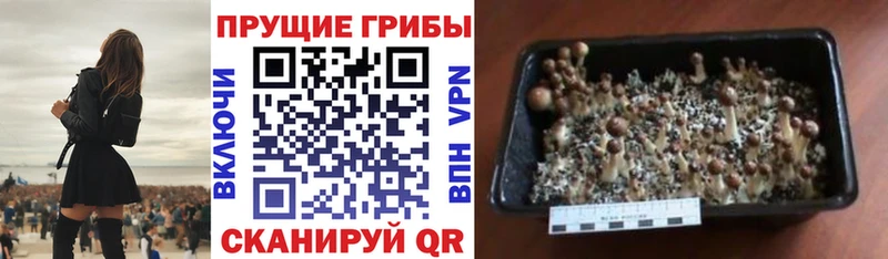 blacksprut ссылка  Кубинка  Галлюциногенные грибы мухоморы  даркнет сайт 