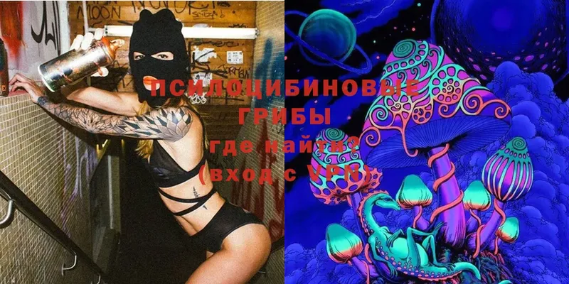 MEGA ссылка  Кубинка  Галлюциногенные грибы Psilocybine cubensis 