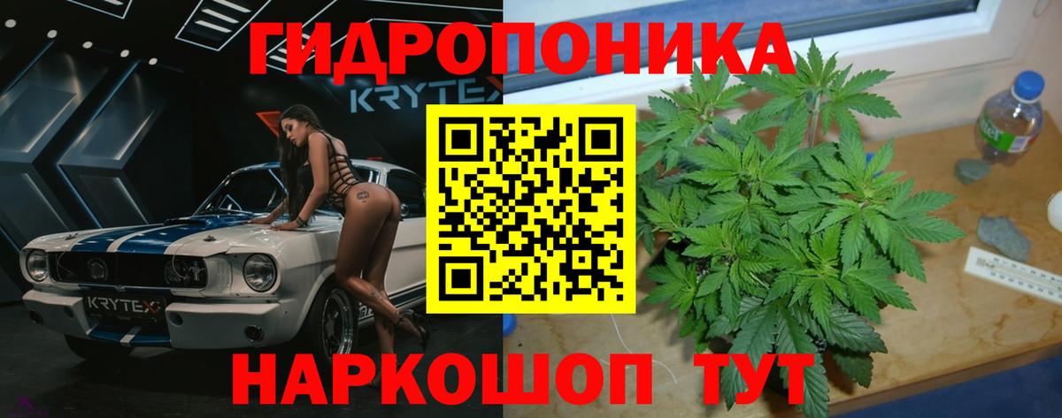 Канабис сатива Кубинка